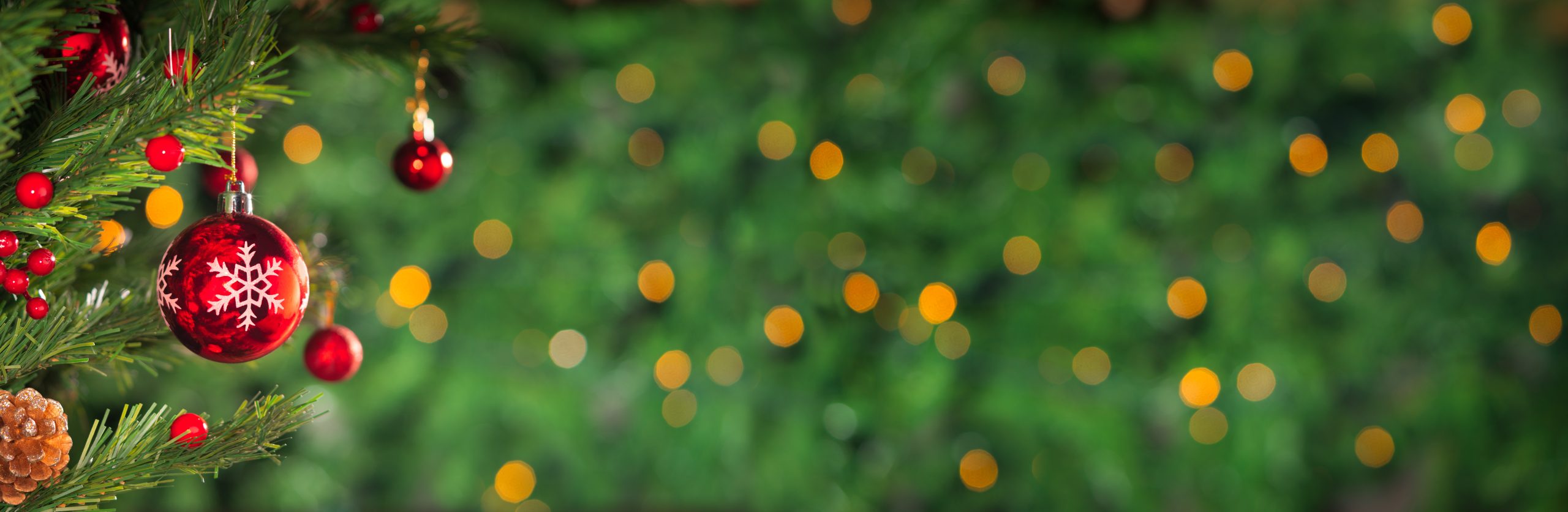 Christmas holidays banner, tree, bokeh background